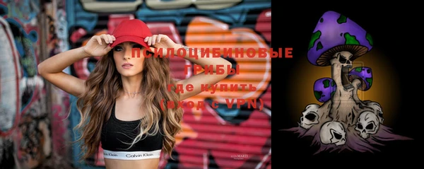 таблы Ладушкин