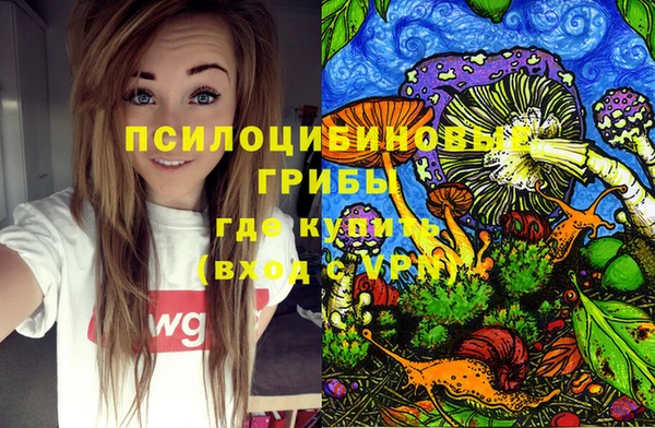 таблы Ладушкин