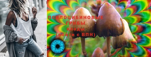 таблы Ладушкин