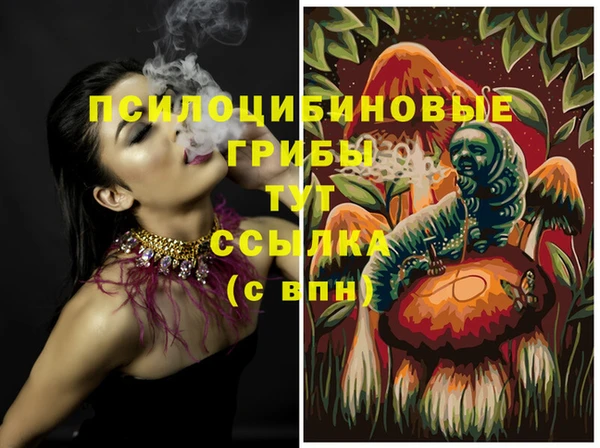 таблы Ладушкин