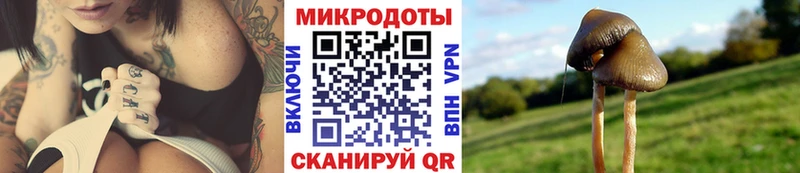 Купить закладки Еманжелинск Псилоцибиновые грибы мухоморы